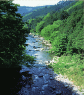 秋川渓谷