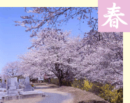 春の景色
